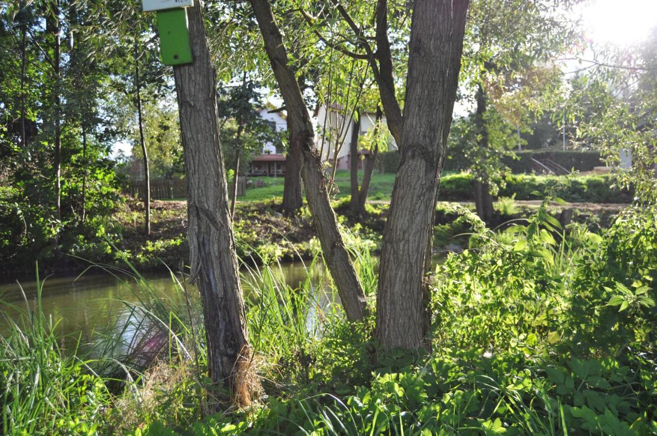 Mlyn Wodny Eko Hillar Villa Rybno  Dış mekan fotoğraf